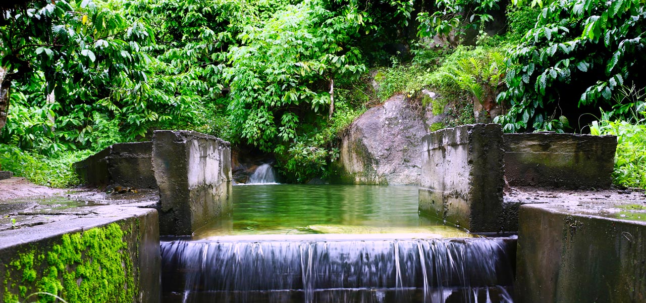 Field View Estate Bungalow Banner