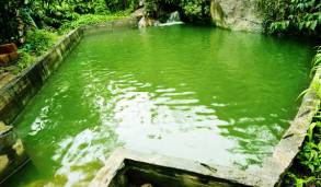 Thrilling natural Pond